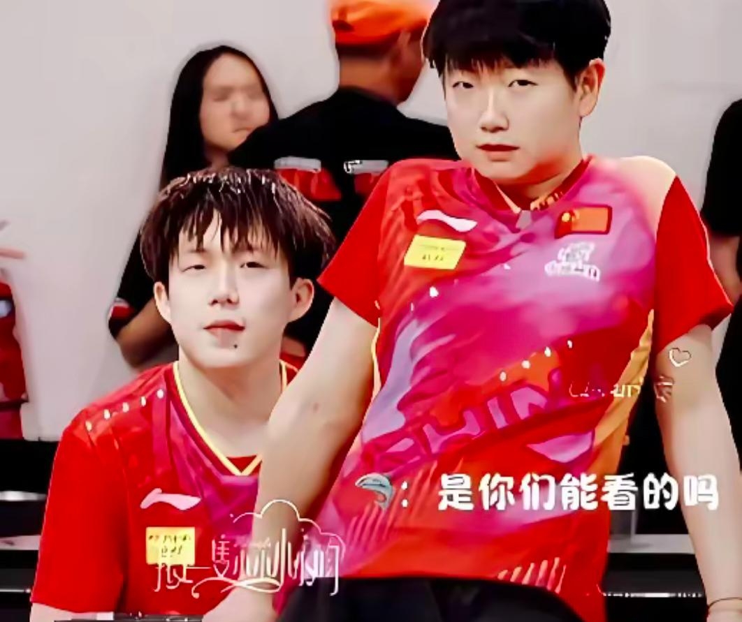 九游体育直播-包含比利时乒乓球队血洗德国乒乓球队，许昕制霸全场的词条