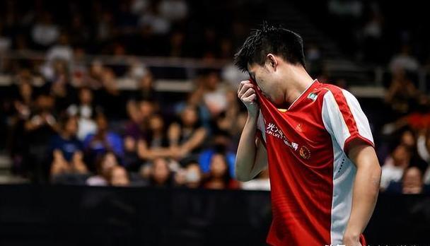 包含韩国羽毛球队翻盘丹麦羽毛球队，林丹高光表现的词条